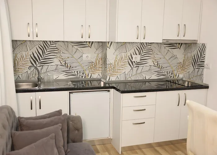 Central Apartments アパート ティラナ